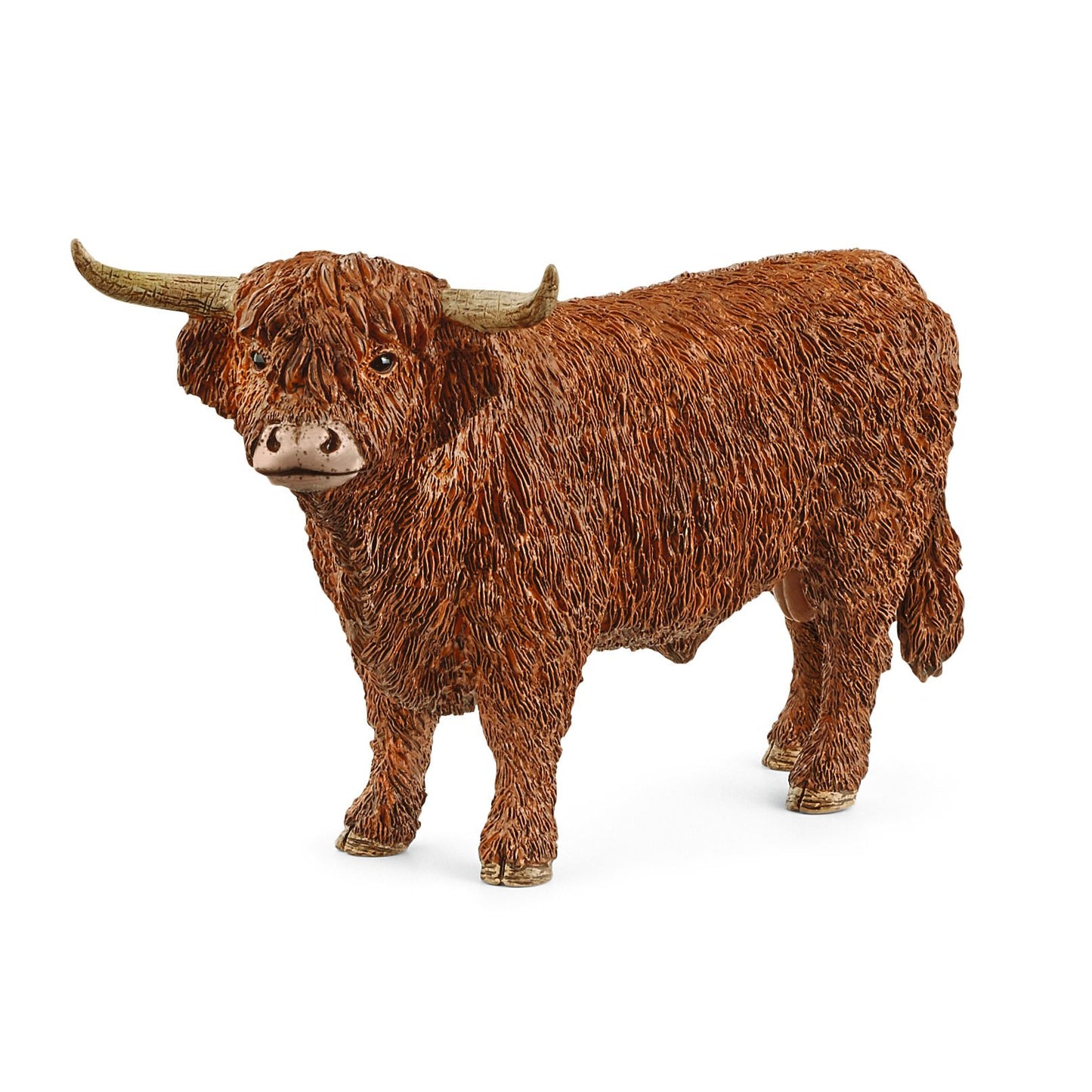Schleich - Highland cattle tjur (Skotsk höglandstjur)