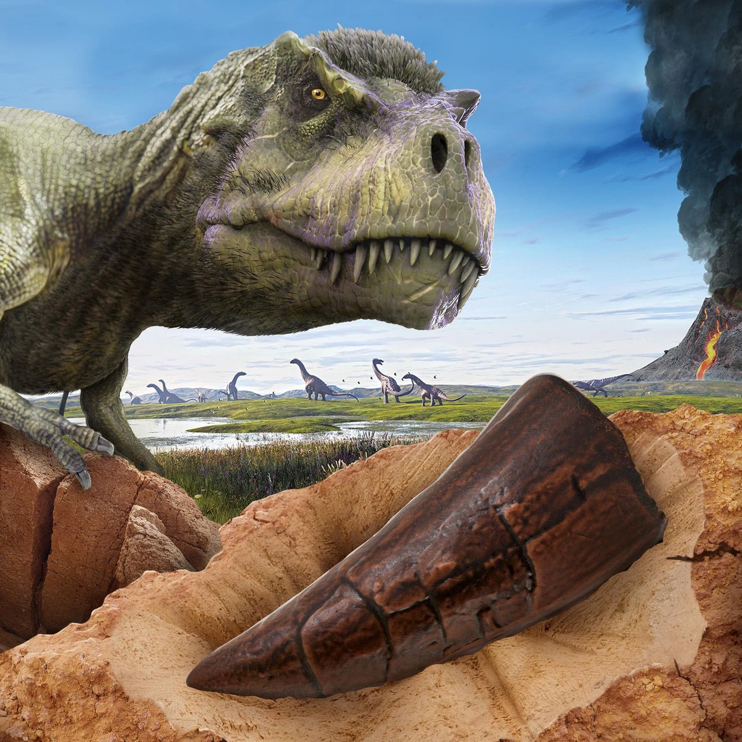 National Geographic, Gräv-kit tyrannosaurus tand replica