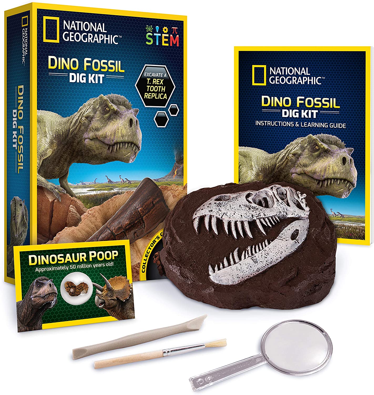 National Geographic, Gräv-kit tyrannosaurus tand replica