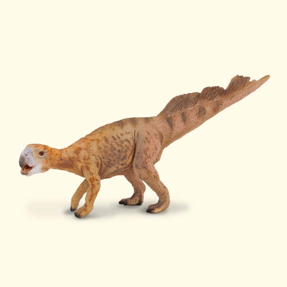 CollectA - Psittacosaurus