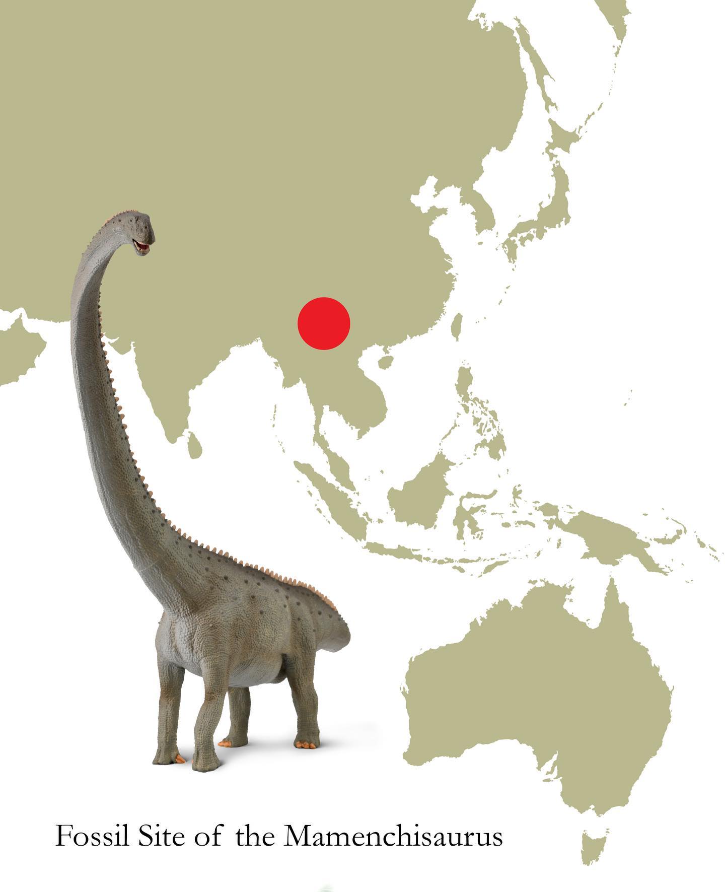 CollectA - Mamenchisaurus