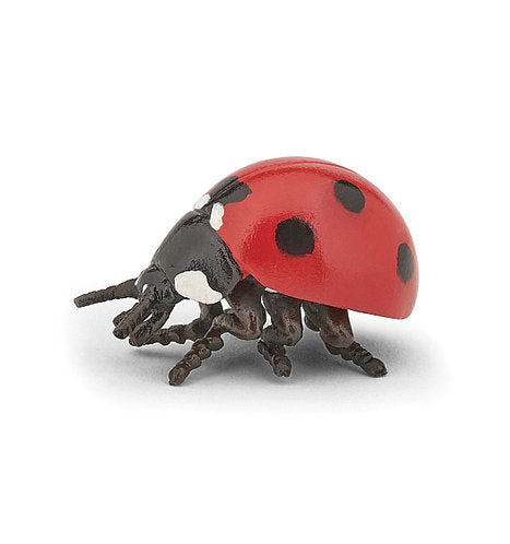 Safari Ltd - Life Cycle of a Ladybug Safariology®