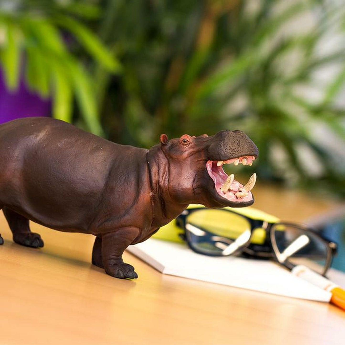 Safari Ltd - Hippopotamus Jumbo