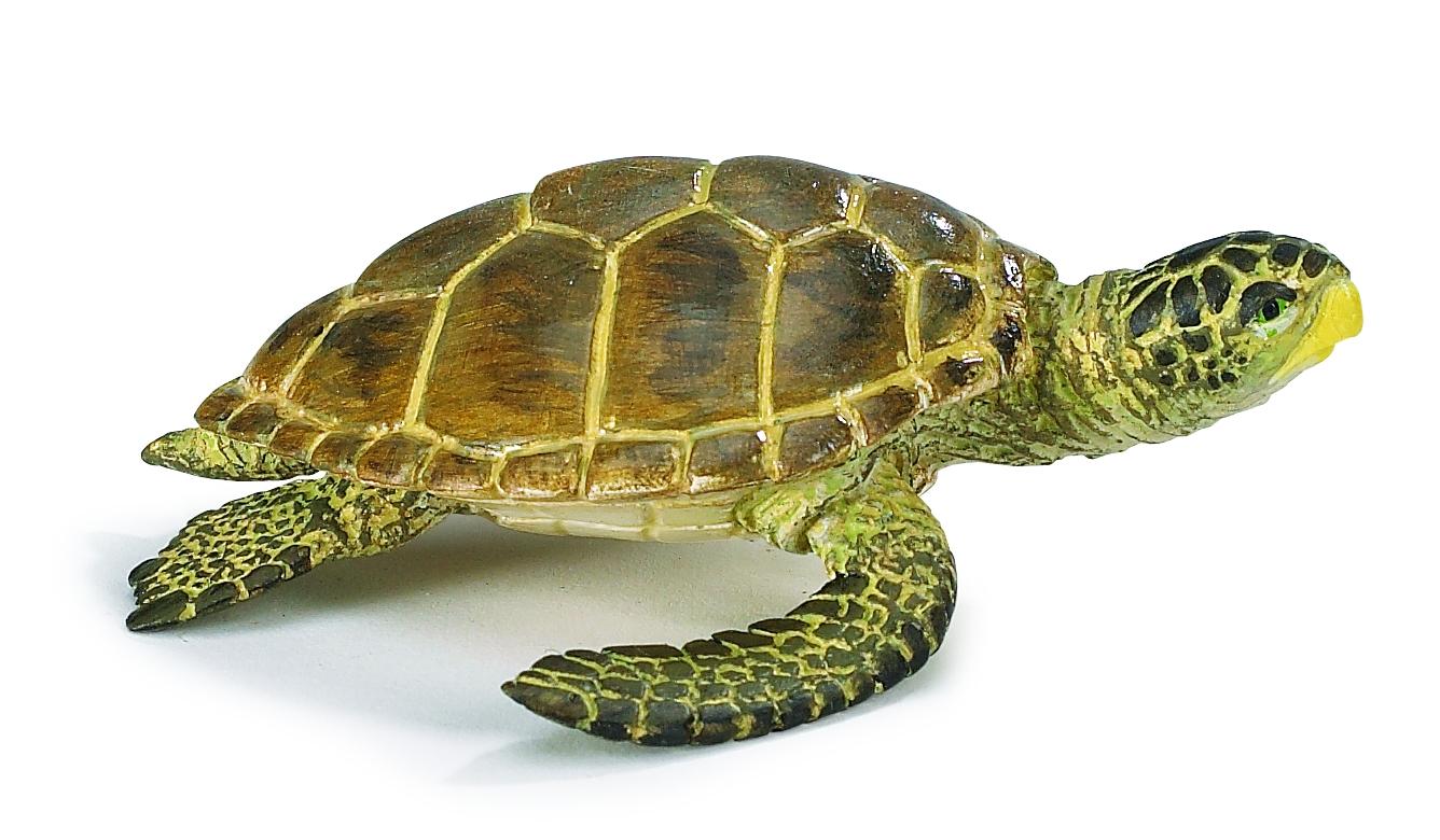 Safari Ltd - Loggerhead Turtle