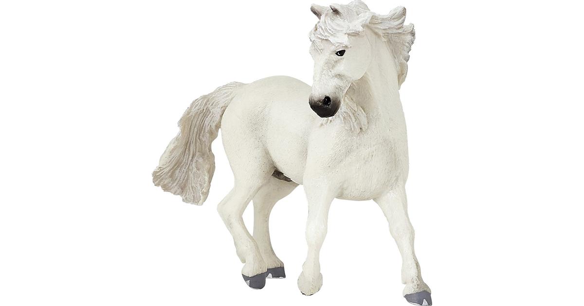 Papo - Camarguehäst hingst