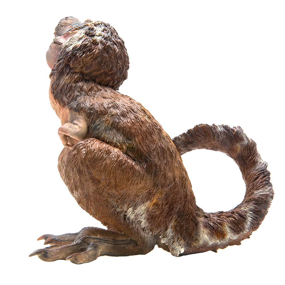 PNSO Aaron The Young Tyrannosaurus rex