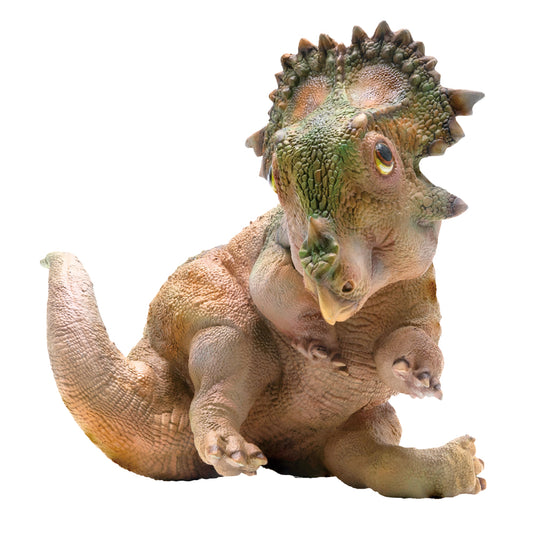 PNSO A-Qi The Young Sinoceratops