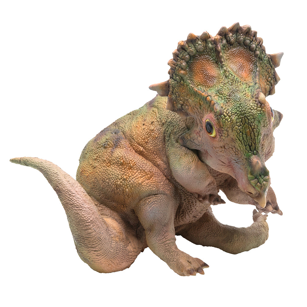 PNSO A-Qi The Young Sinoceratops