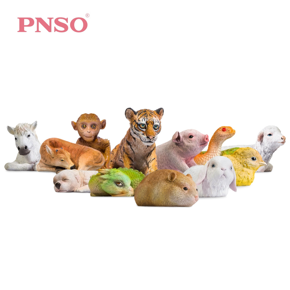 PNSO The Zodiac Animals Gift Box (Set of 12)