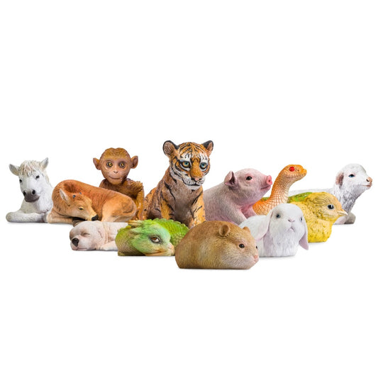 PNSO The Zodiac Animals Gift Box (Set of 12)