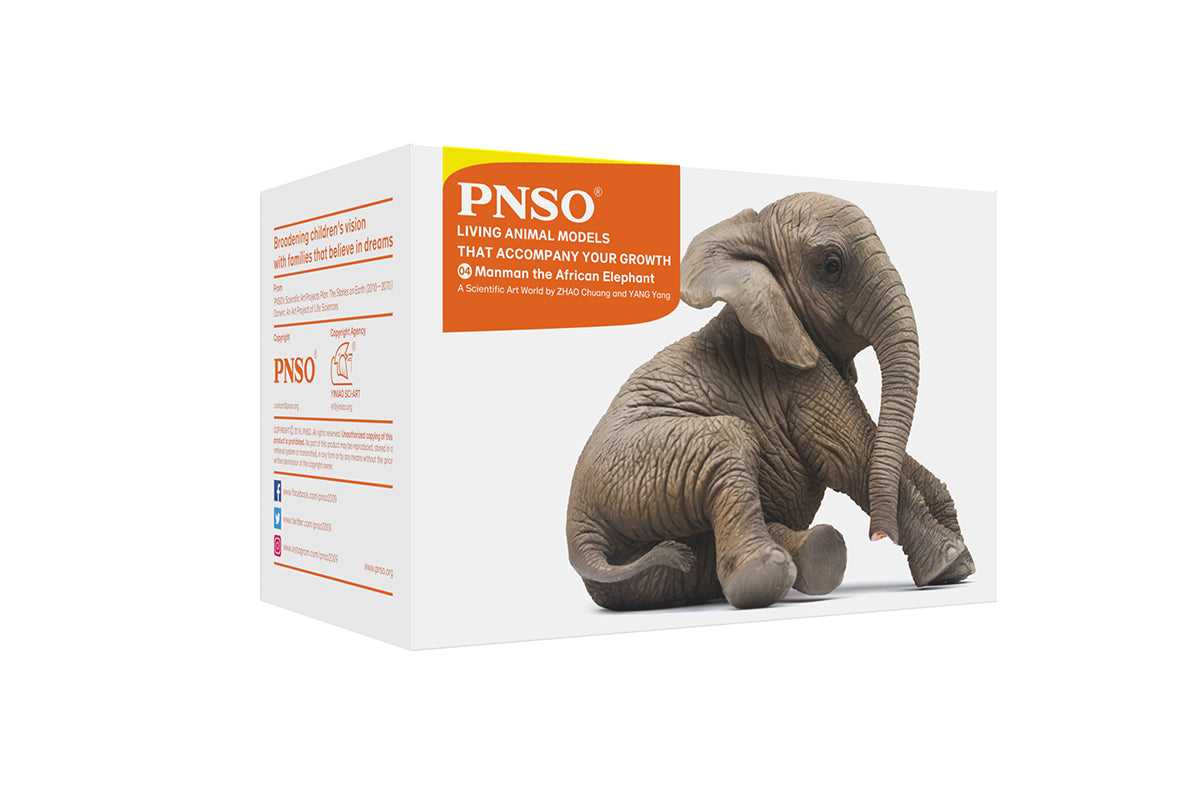 PNSO Manman the African Elephant