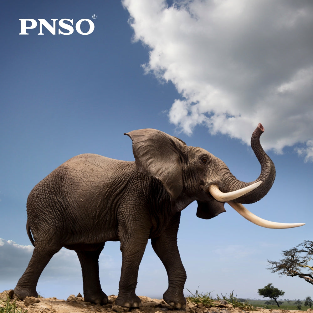 PNSO Mamman the African Elephant