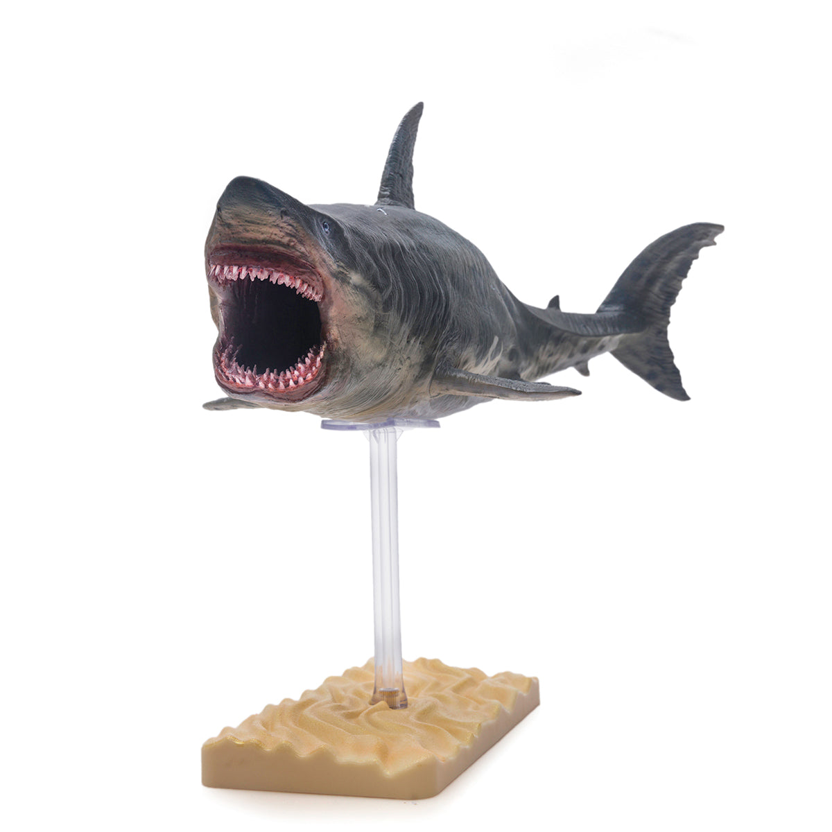 PNSO Patton the Megalodon