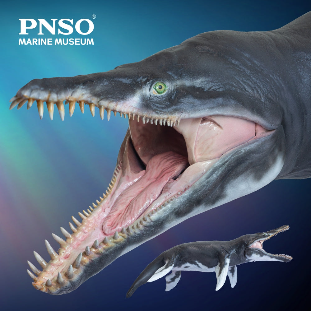 PNSO Jeff the Kronosaurus