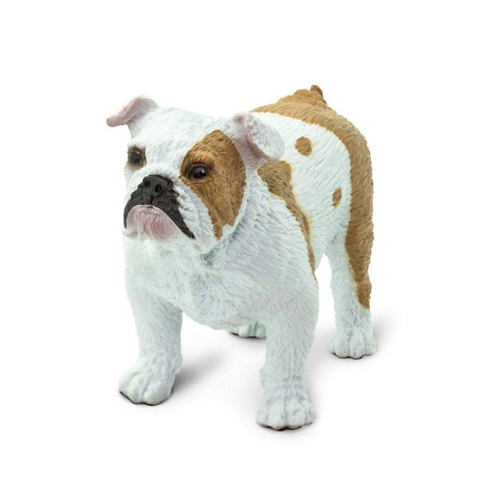 Safari Ltd - Bulldog