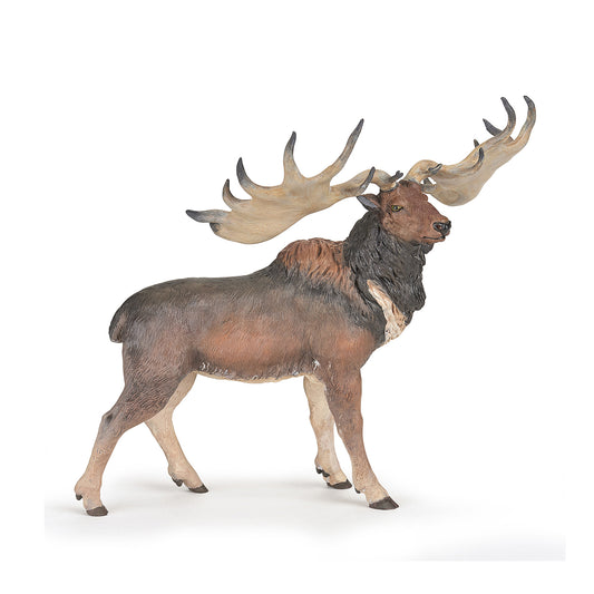 Megaloceros