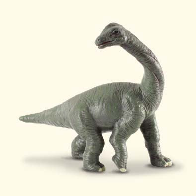 CollectA - Brachiosaurus unge