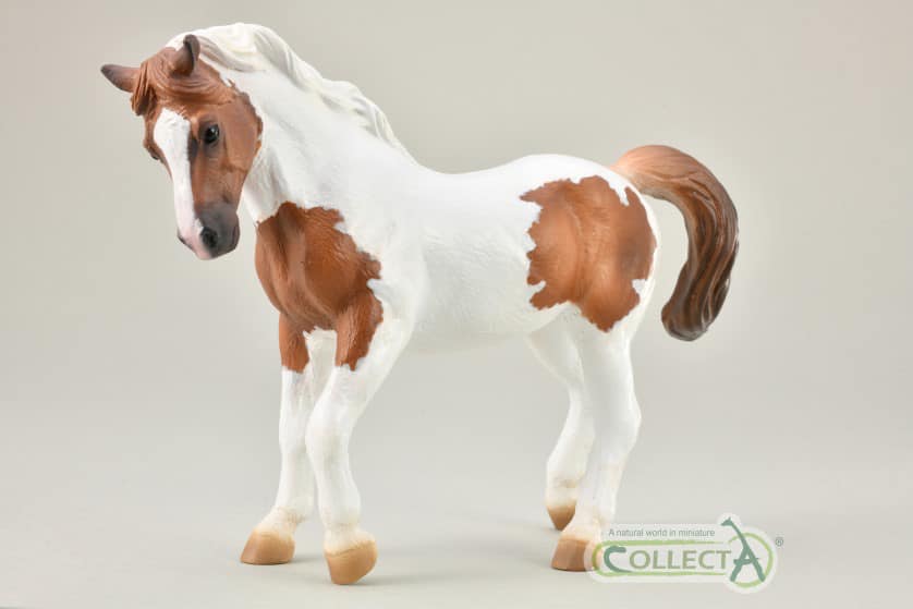 CollectA - Chincoteagueponny - fux skäck