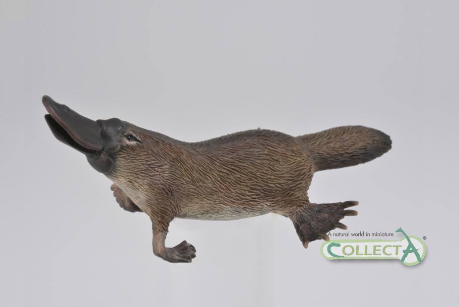 CollectA - Näbbdjur