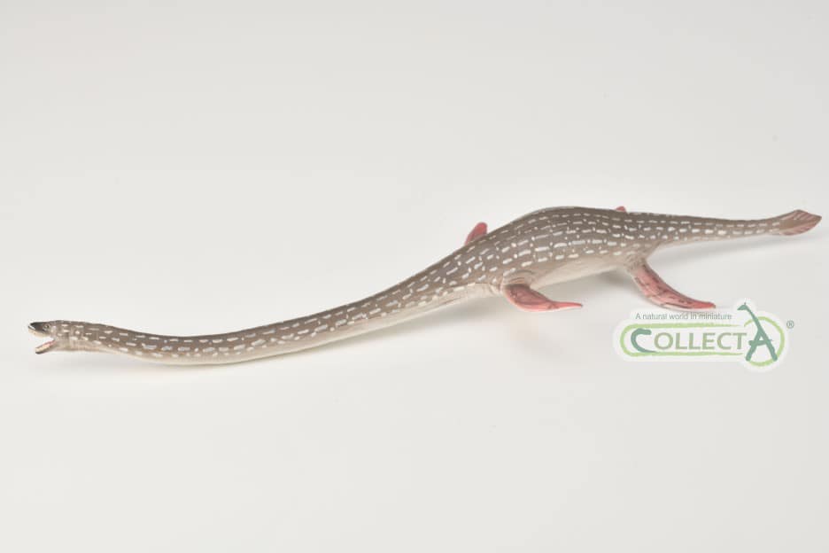 CollectA - Elasmosaurus