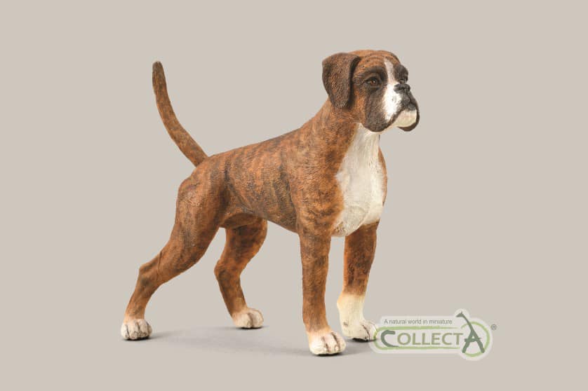 CollectA - Boxer