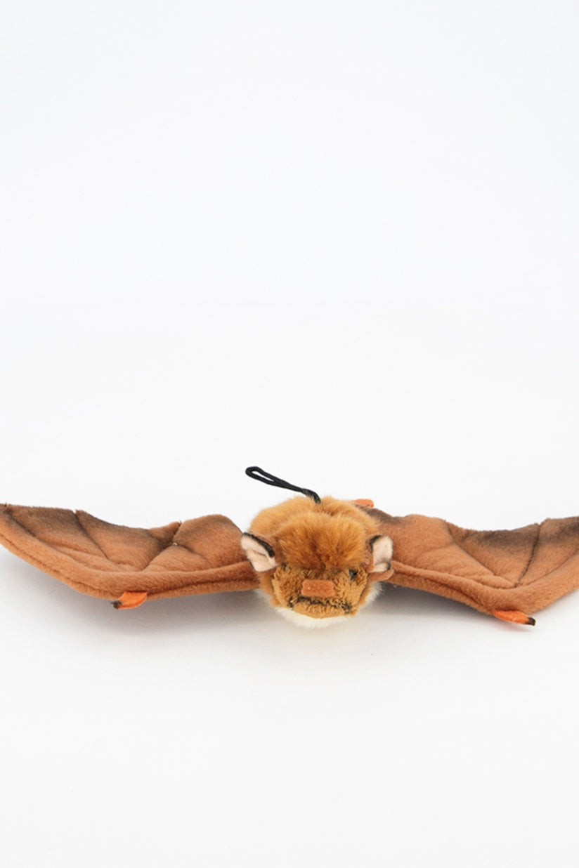 National Geographic: Bat