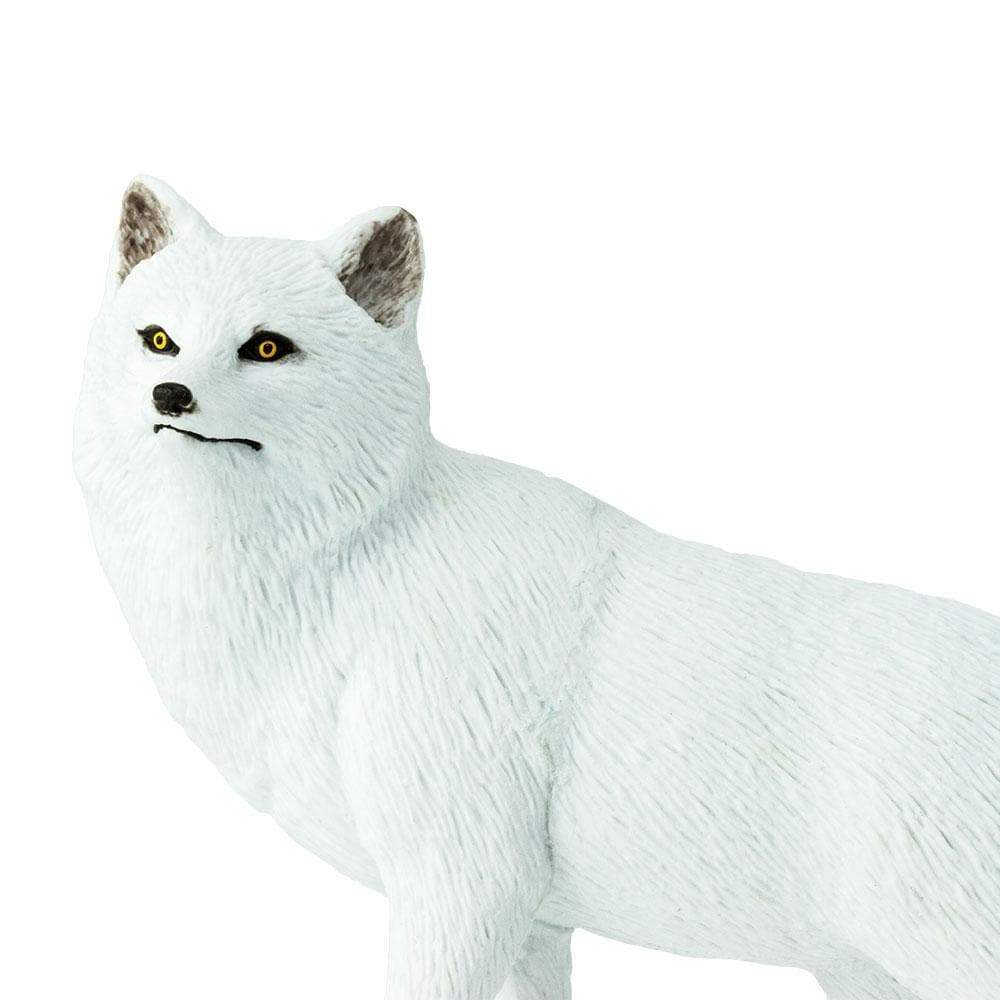 Safari Ltd - Arctic Fox XL