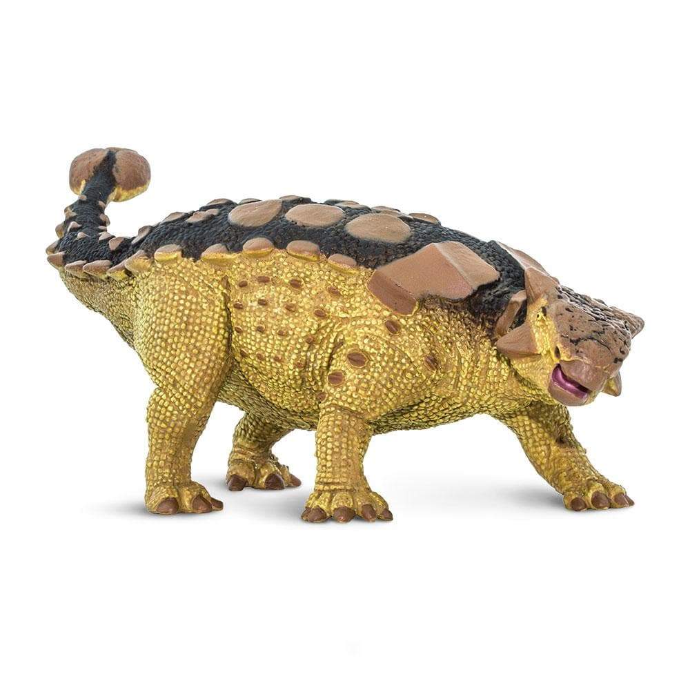 Safari Ltd - Ankylosaurus