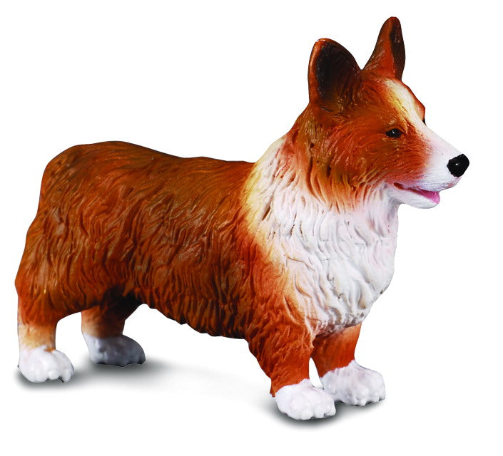 CollectA - Welsh Corgi Pembroke