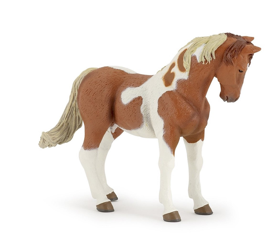 Papo - Pinto sto