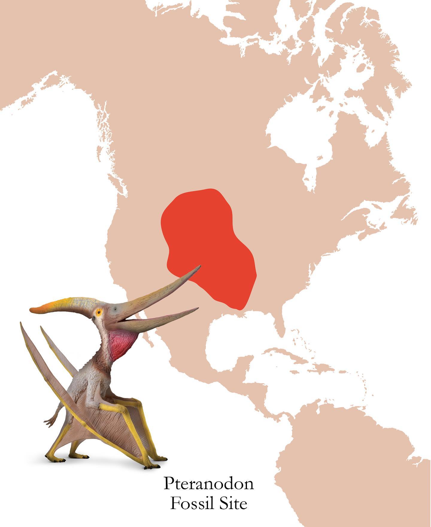 CollectA - Pteranodon med ledad käke - Deluxe Skala 1:40