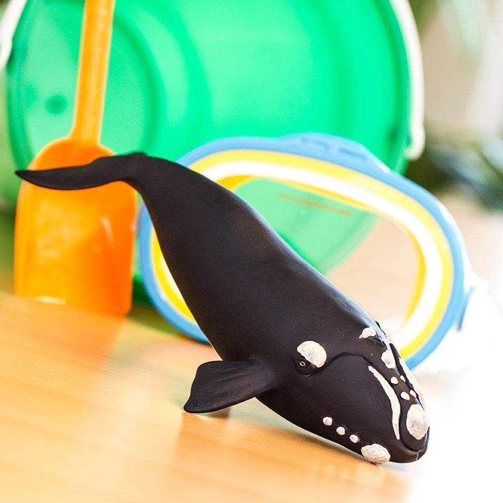 Safari Ltd - Right Whale