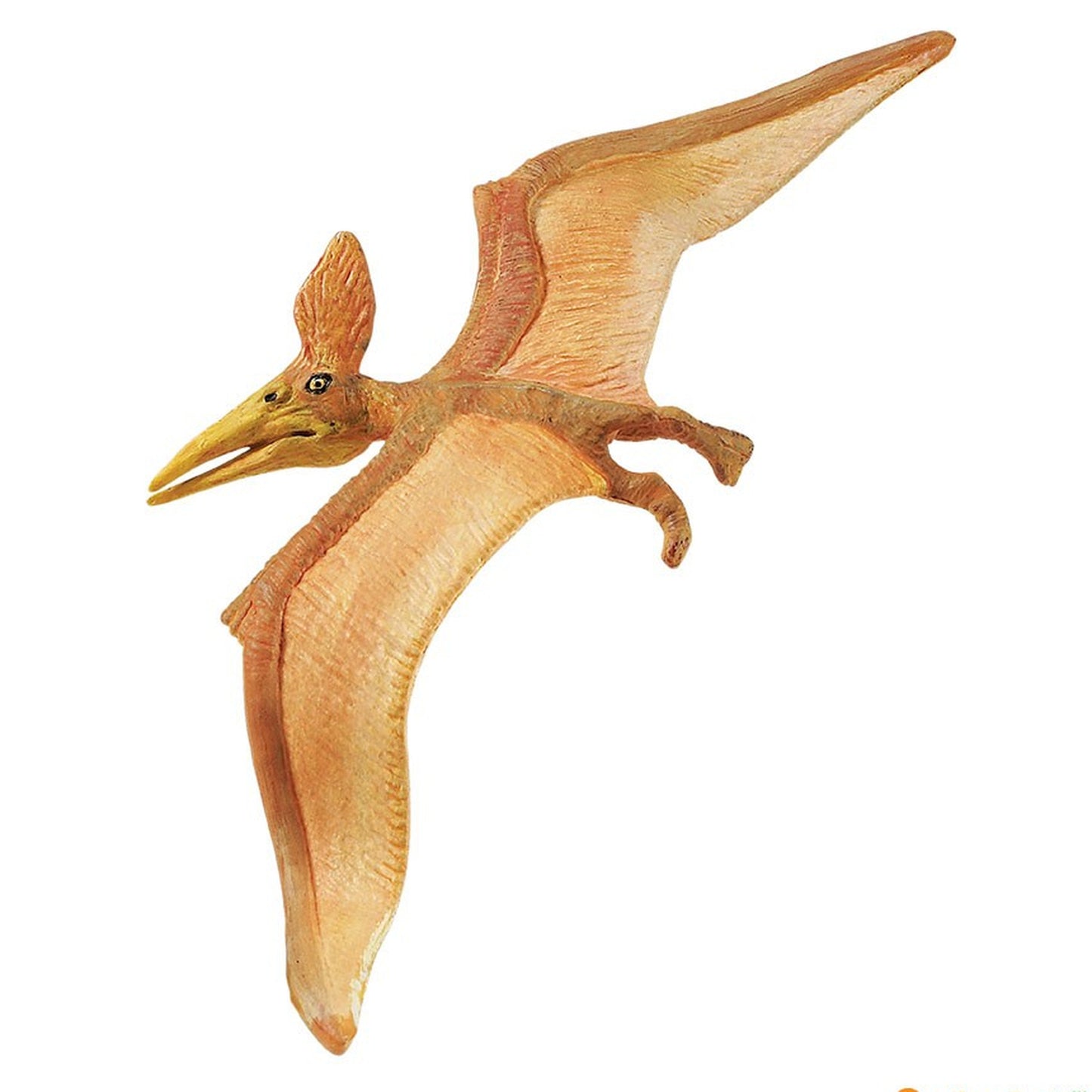 Safari Ltd - Pteranodon