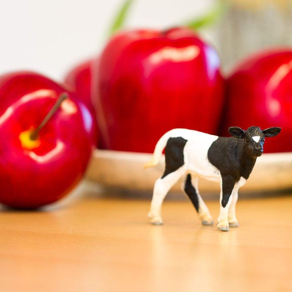 Safari Ltd - Holstein Calf