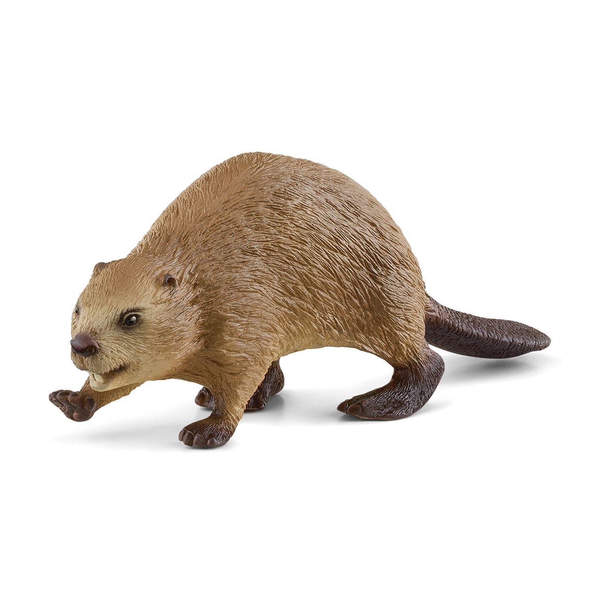 Schleich - Bäver