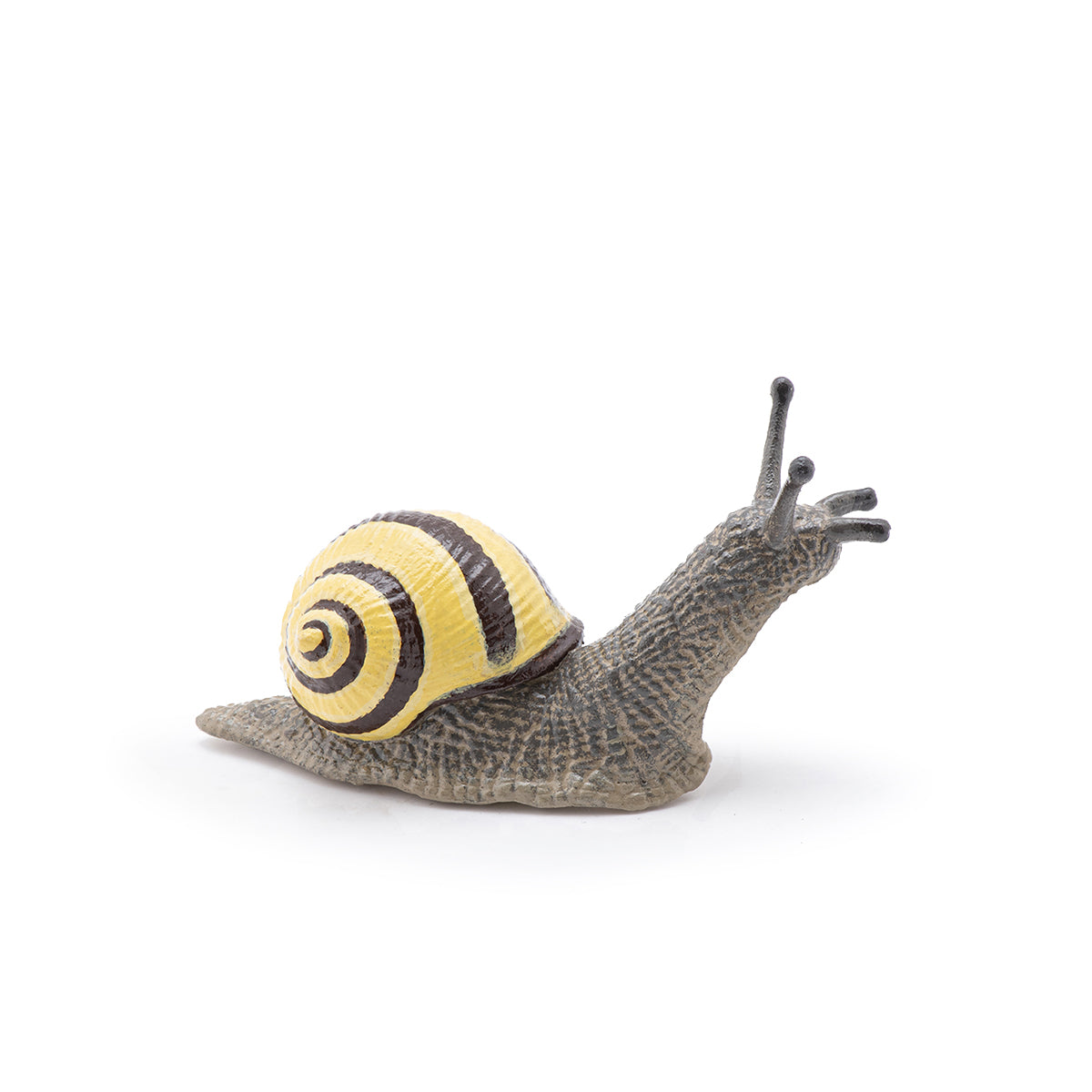 Papo - Parksnäcka (Grove snail)
