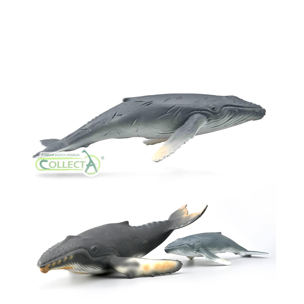 CollectA - Knölval kalv