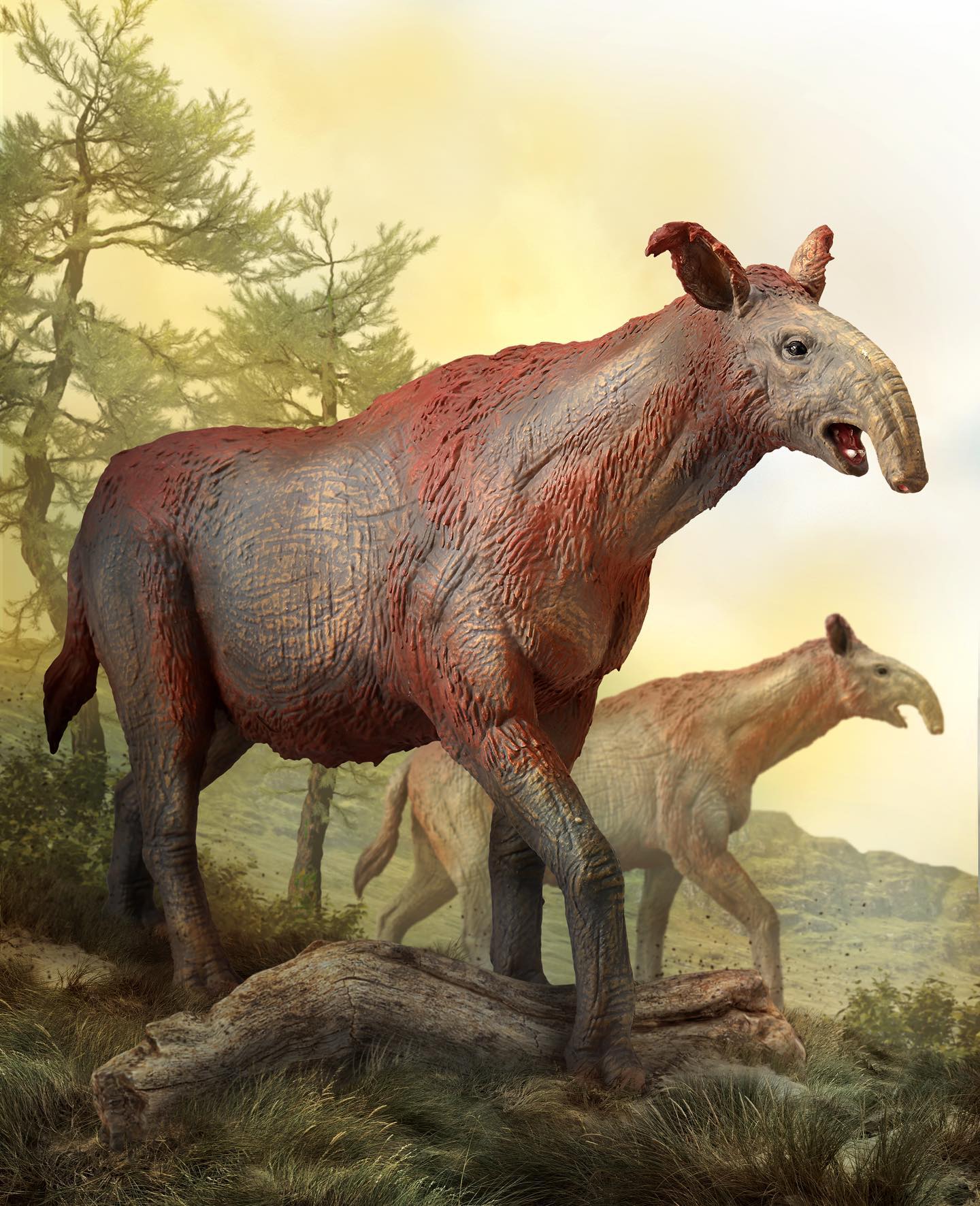 CollectA - Paraceratherium Deluxe