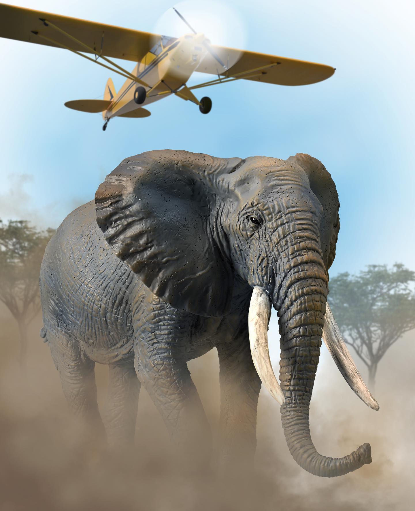 CollectA - Savannelefant (afrikansk elefant)