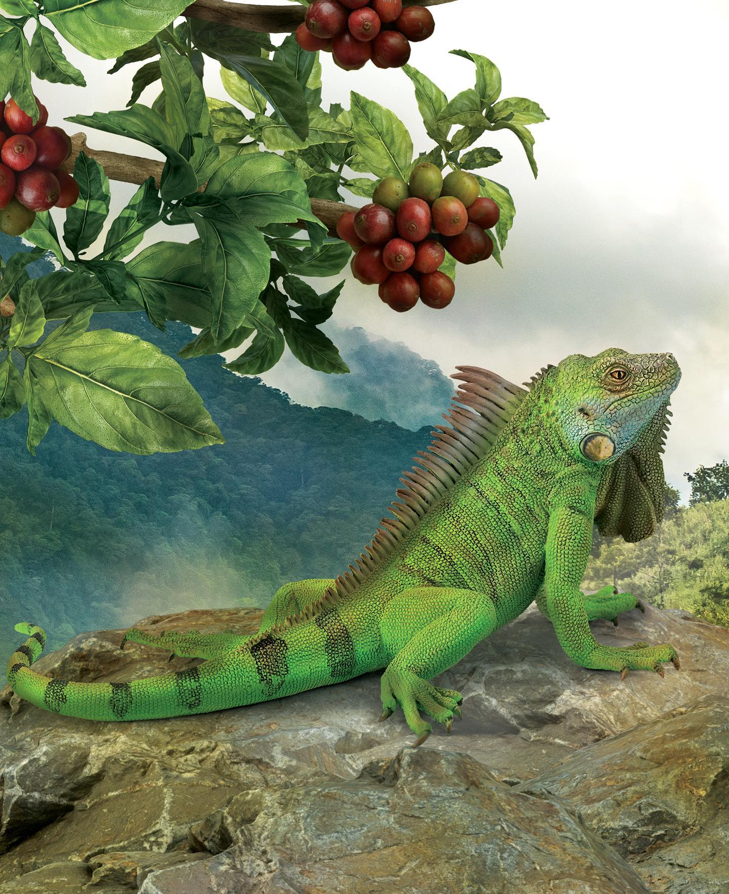 CollectA - Grön leguan