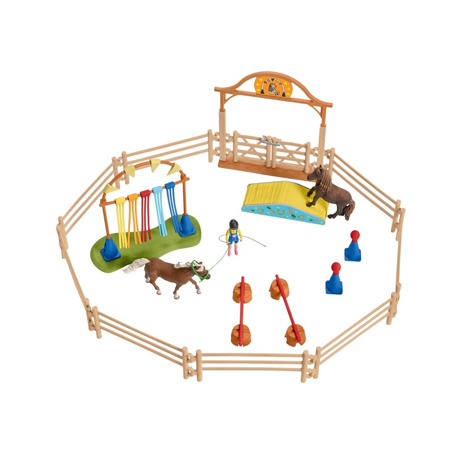 Pony agility training