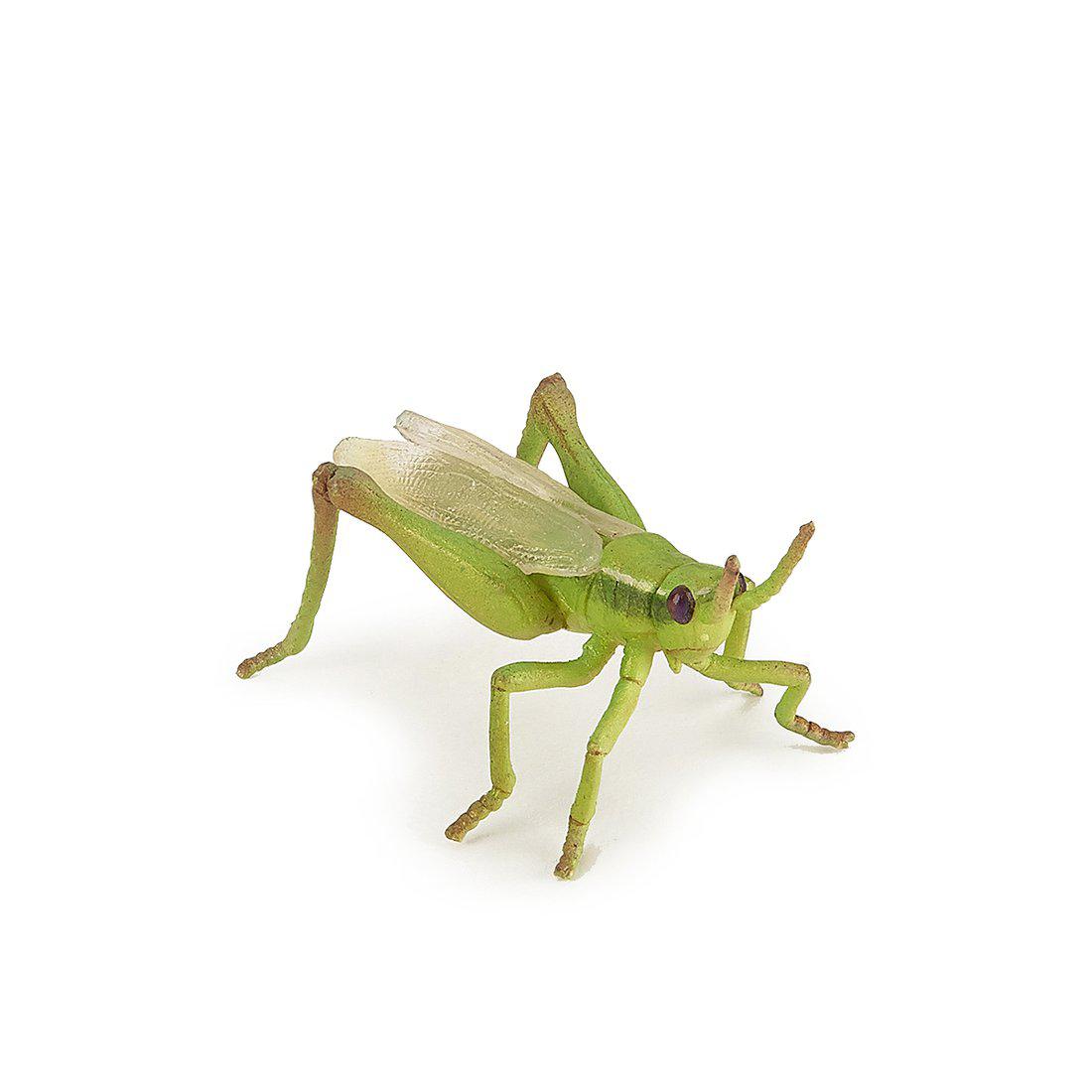 Papo - Grasshopper