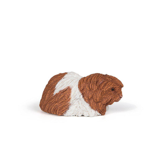 Papo - Guinea pig