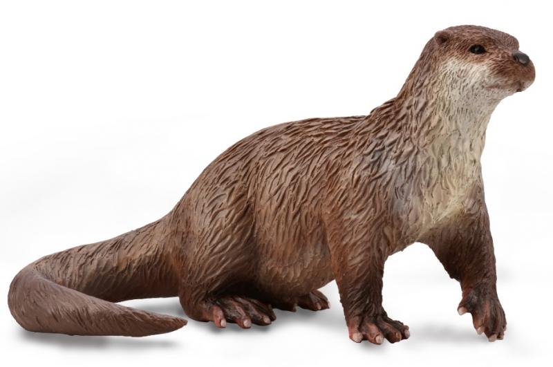 CollectA - Common Otter