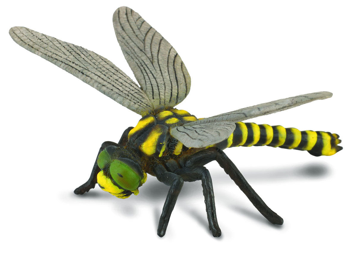 CollectA – Kungstrollslända (Golden-ringed Dragonfly)