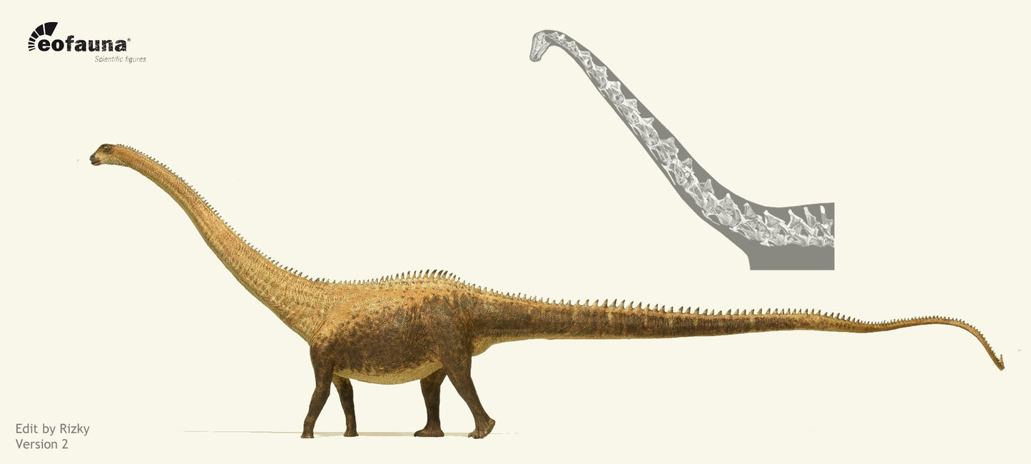 Eofauna - Diplodocus (D. carnegii)