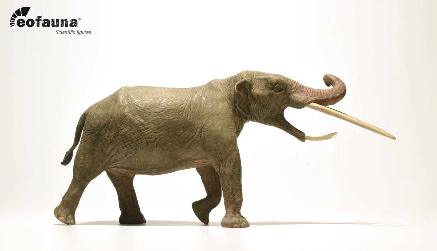 Eofauna - Konobelodon Atticus