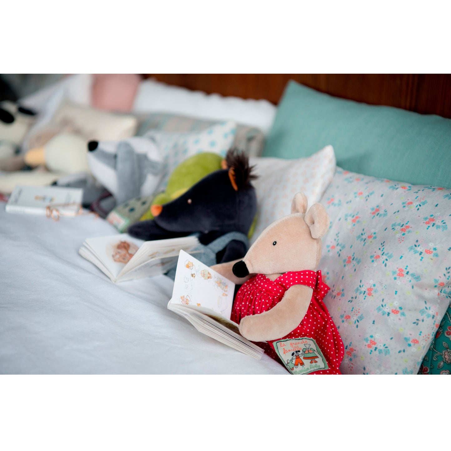 Turtle Camille medium