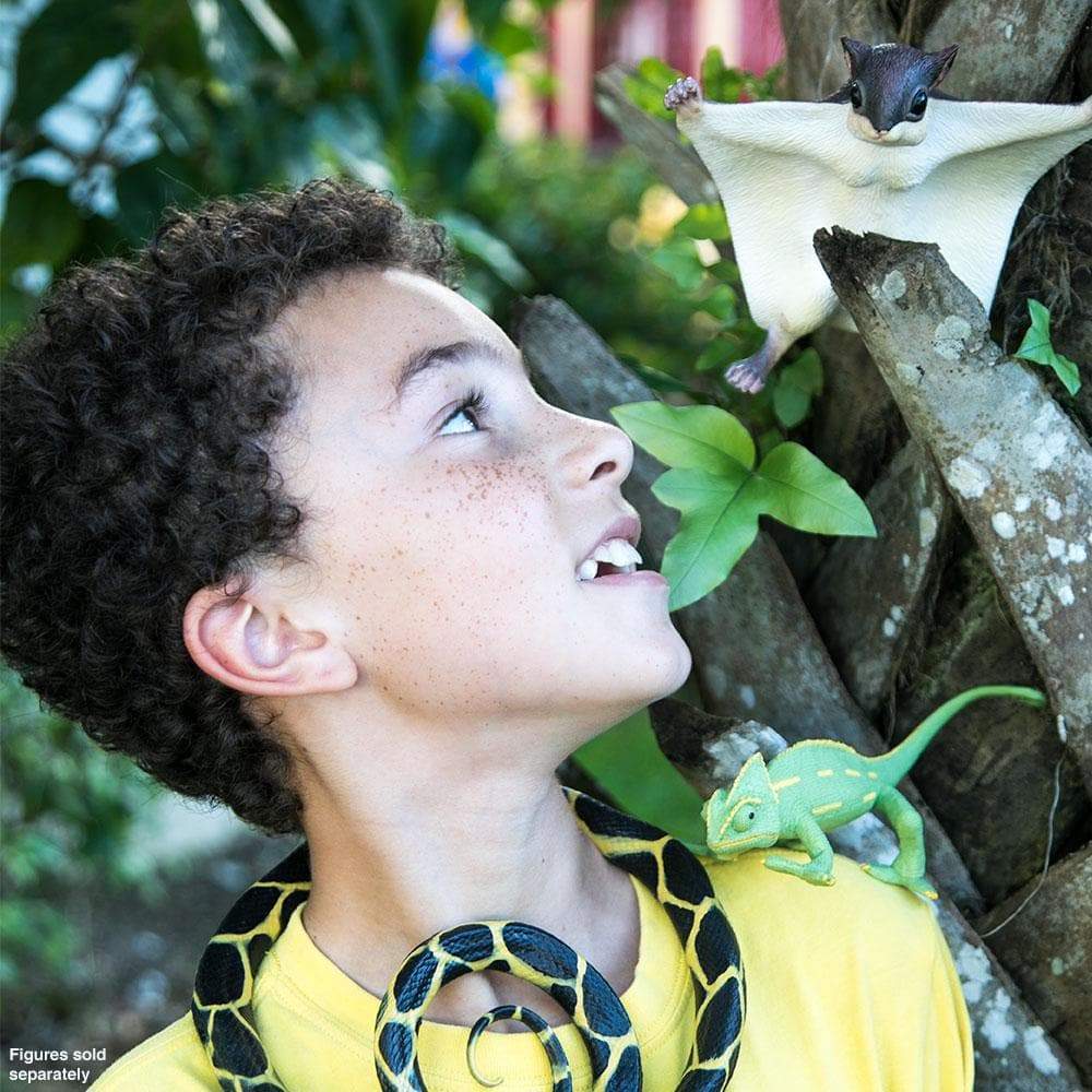 Safari Ltd - Veiled Chameleon Baby