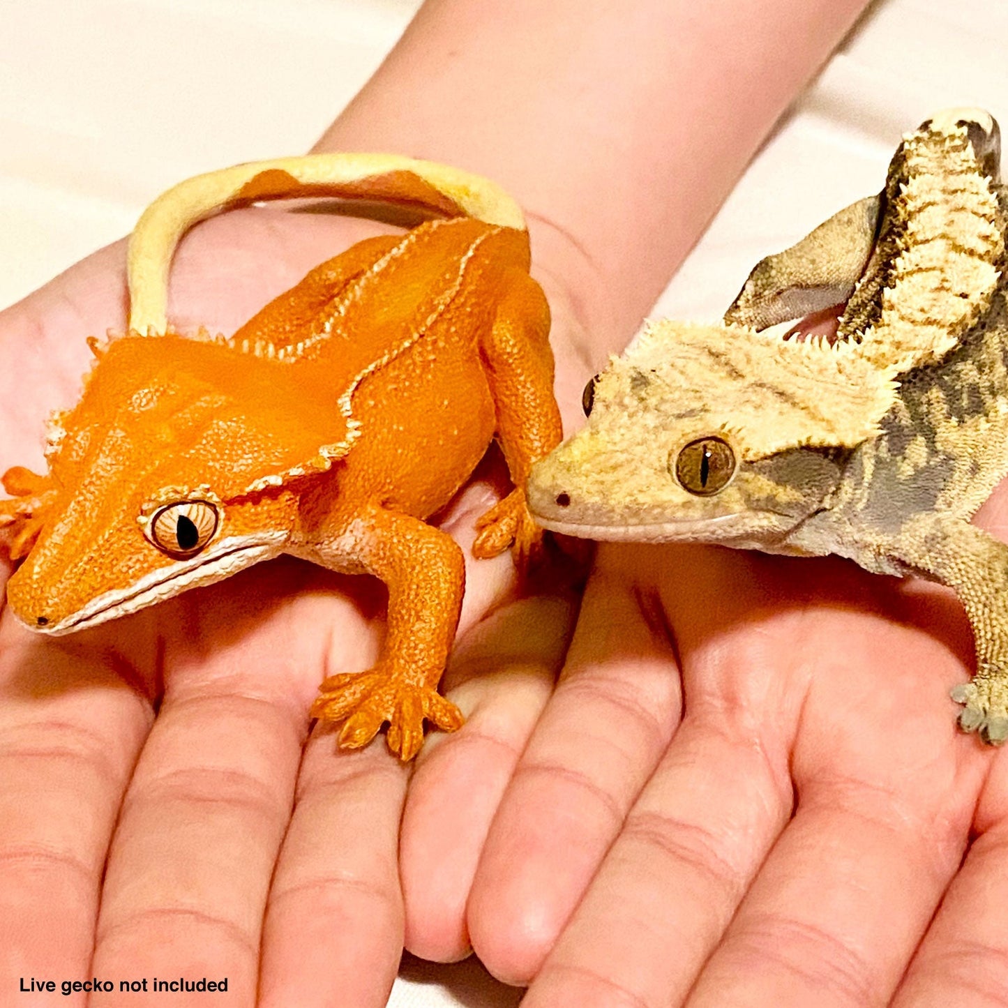 Safari Ltd - Crested Gecko